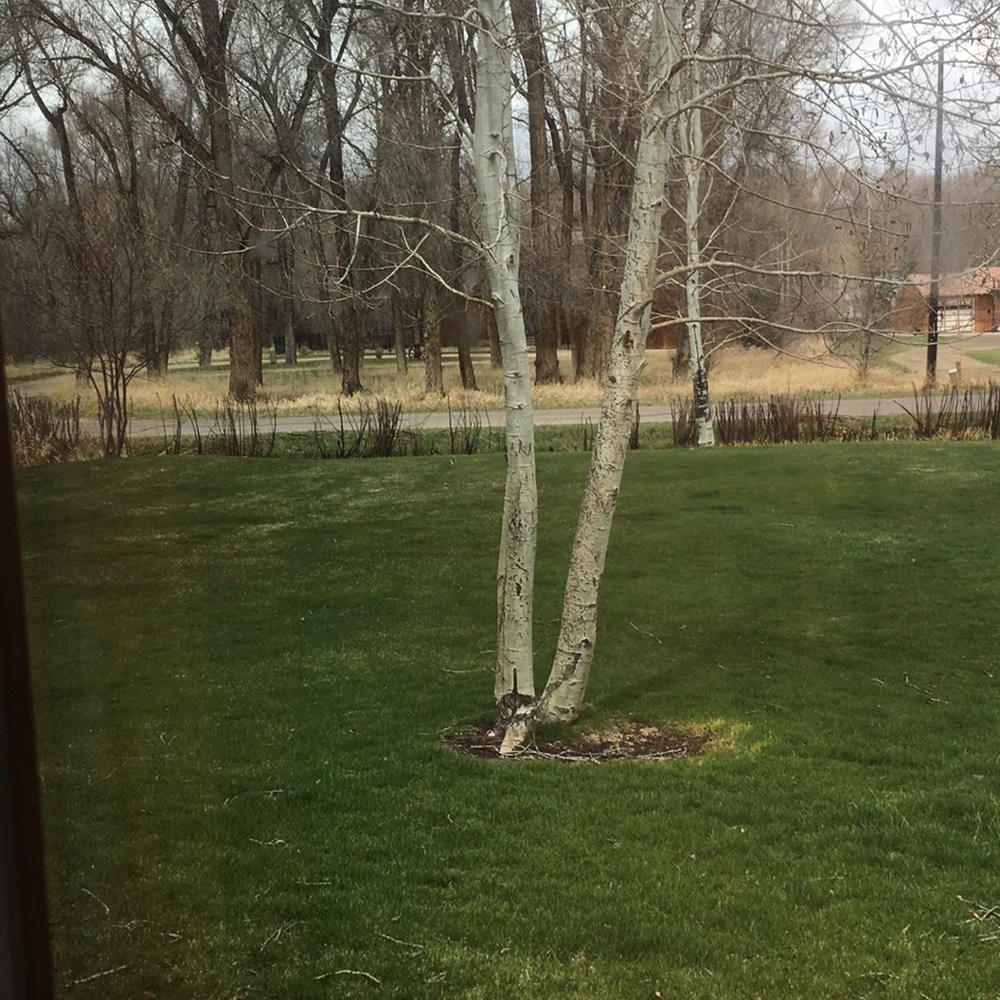 Meet your Posher, Brenda